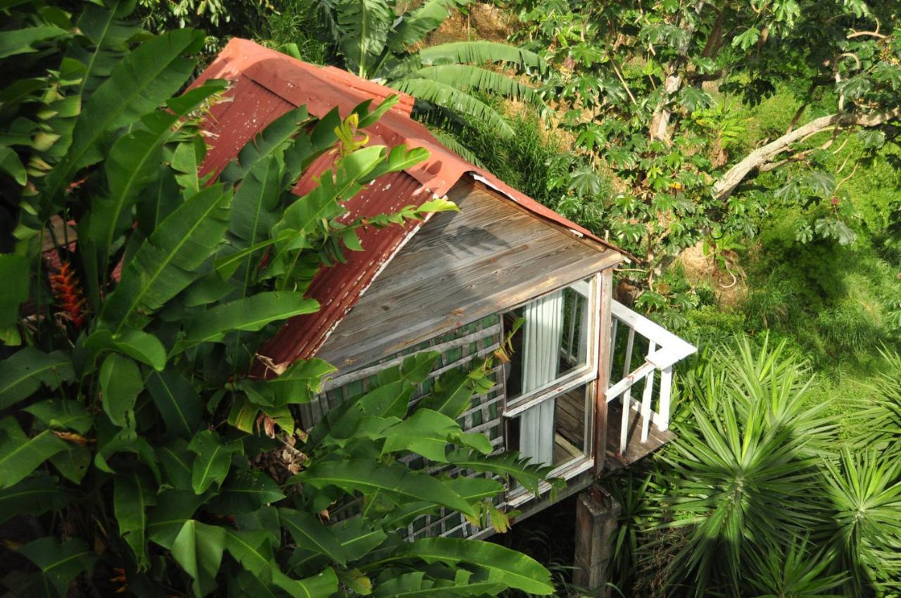 Mount Edge Guest House Port Antonio Exterior foto