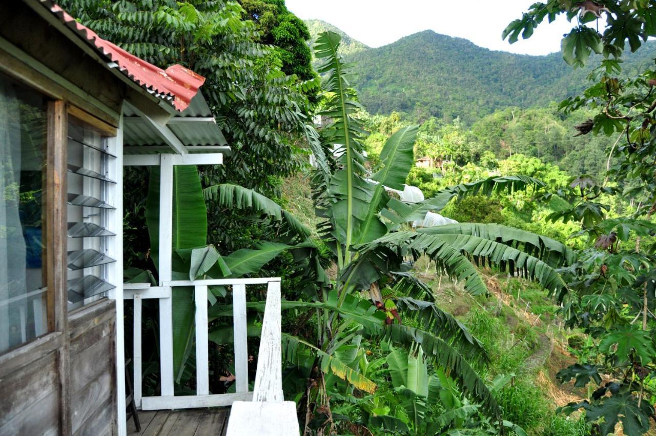 Mount Edge Guest House Port Antonio Exterior foto