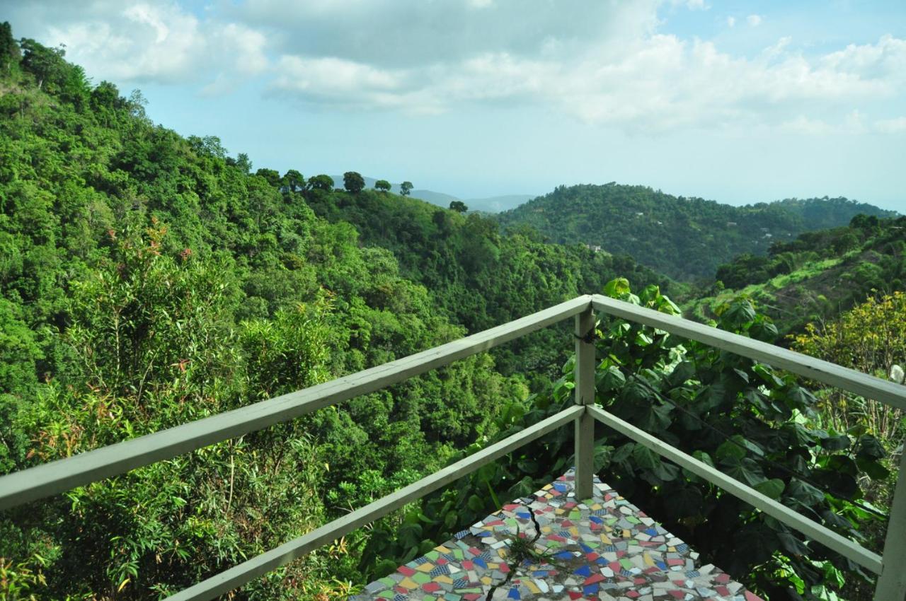 Mount Edge Guest House Port Antonio Exterior foto