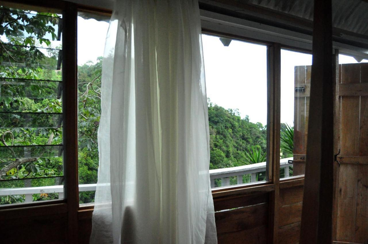 Mount Edge Guest House Port Antonio Exterior foto